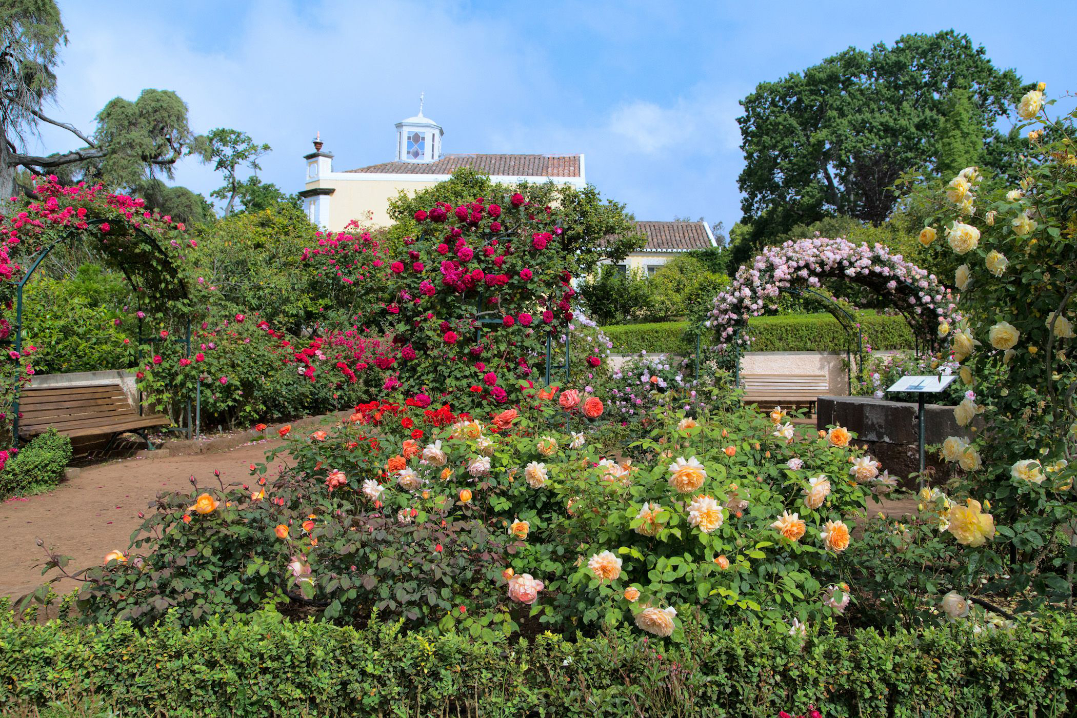 Quinta do Palheiro Ferreiro