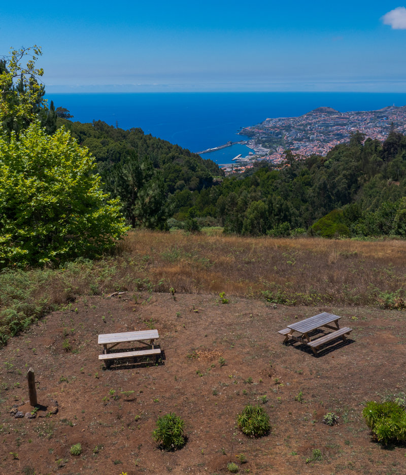 Picnic Area