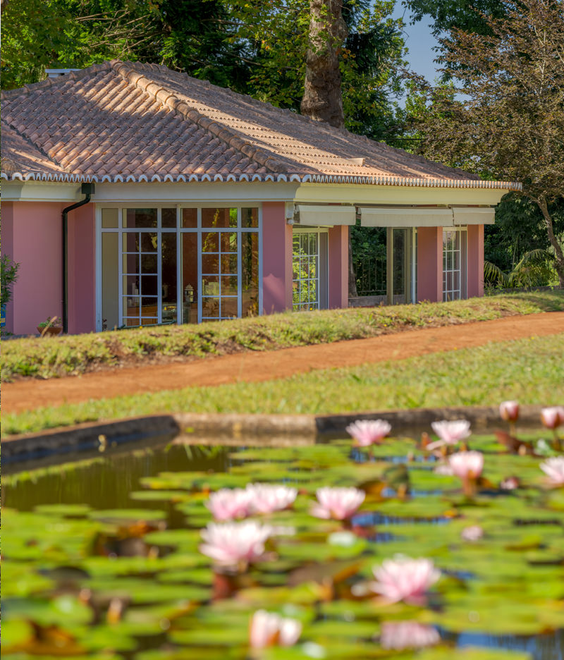 The Tea House
